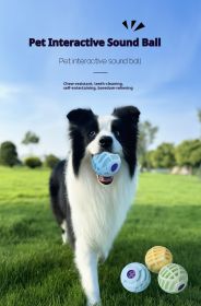Pet Interactive Sound Ball, Dog Cat Pet Voice Ball,Interactive Pet Squeaky Toys (Color: Blue)